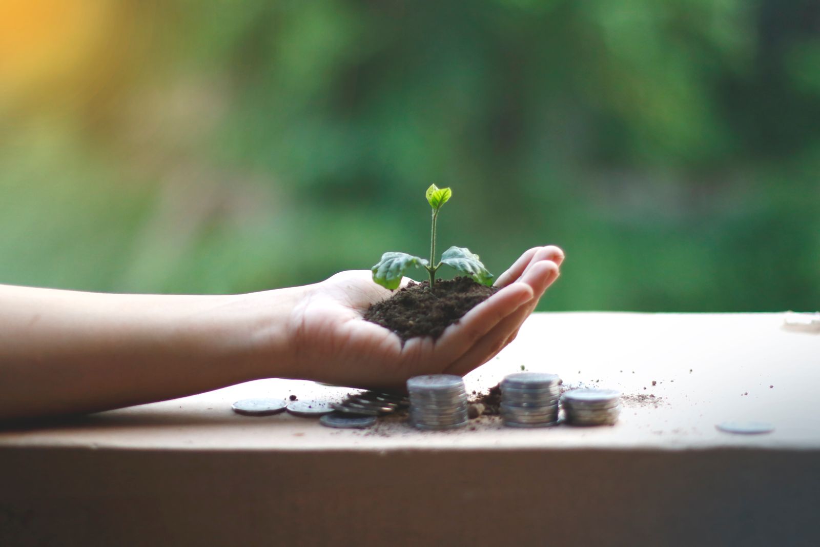 A hand holding a seedling above stacked coins